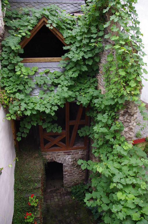 Ad Monte Apartment Cochem Bilik gambar